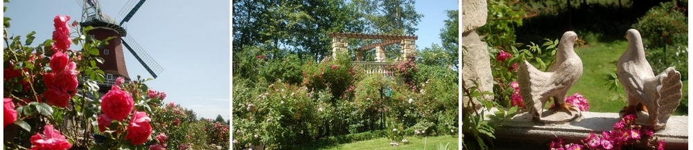 Unser Rosarium Unser Rosarium