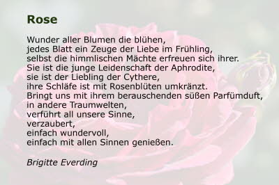 Garten aller Sinne - Bild 14