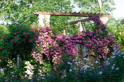 Garten aller Sinne - Bild 18